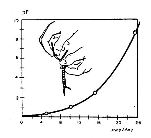 Capacitor Capacitor