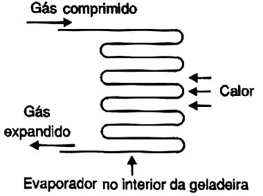 O evaporador retira o calor do interior da geladeira, o O evaporador retira o calor do interior da geladeira, o