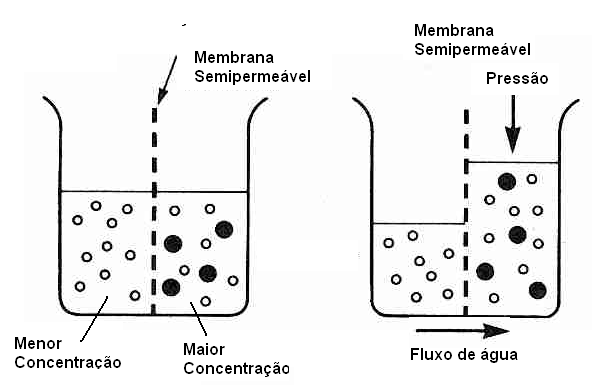 Figura 1- Fluxo de água através de membrana semipermeável 