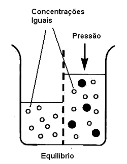 Figura 2 - Condição de equilíbrio dada pela pressão osmótica 