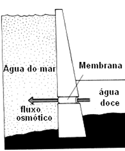 Figura 3 