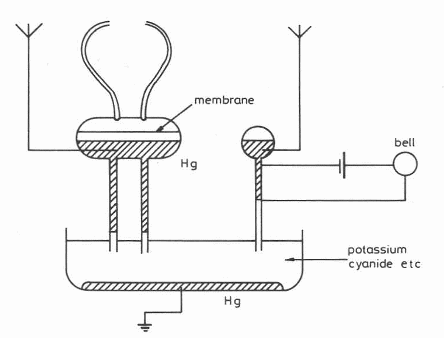 Figura 4 – Receptor de capilaridade de Piecher
Figura 4 – Receptor de capilaridade de Piecher
