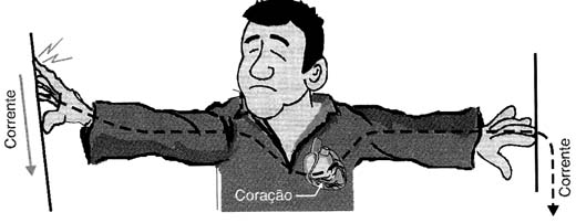 Figura 3 Figura 3