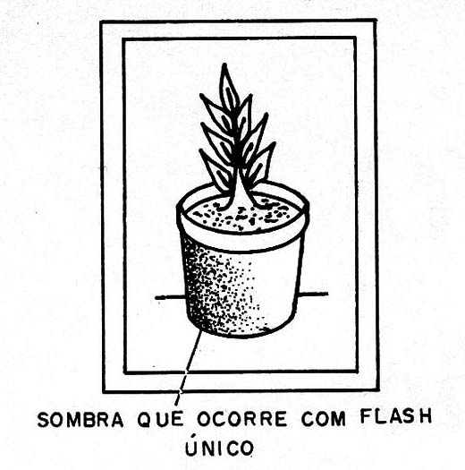 Figura 10 – Eliminando sombras com o flash auxiliar
Figura 10 – Eliminando sombras com o flash auxiliar