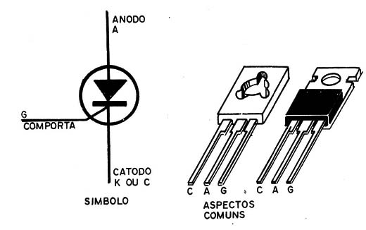 Figura 1 – Símbolo e aspectos
Figura 1 – Símbolo e aspectos