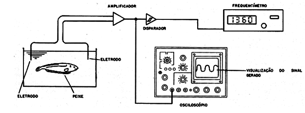    Figura 2 – Arranjo para analisar o sinal
