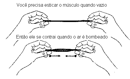Movimento do músculo quando inflado. Movimento do músculo quando inflado.