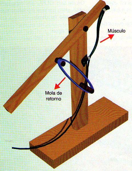 O braço pneumático. 