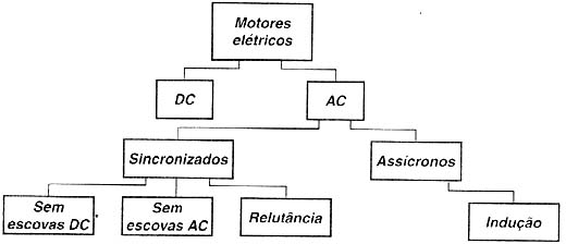 Figura 2 