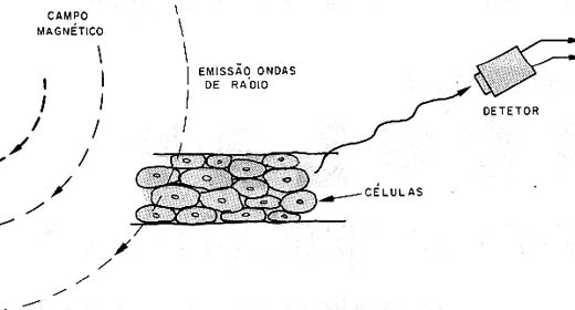 Quando estimuladas as células emitem sinais. 