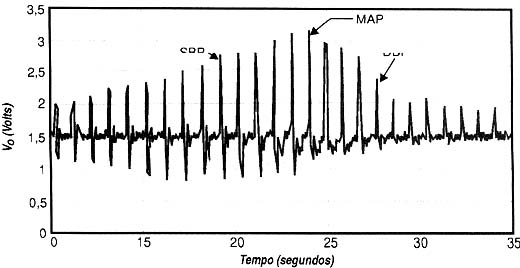 Figura 4 