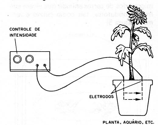 Figura 1 – Estímulo elétrico
