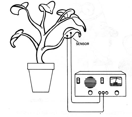 Figura 1 – Aplicação prática
