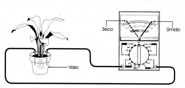 O medidor de umidade num vaso de plantas. 
