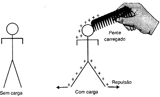 Figura 2 