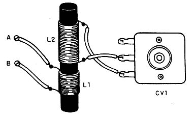 Figura 2
Figura 2