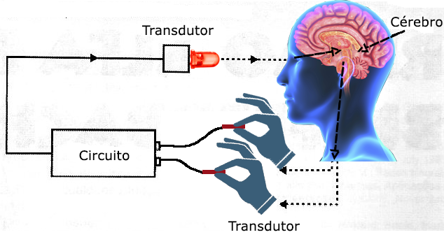 Princípio de funcionamento do biofeedback
