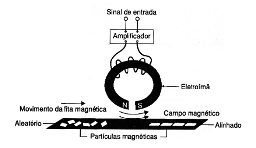 Figura 3
Figura 3