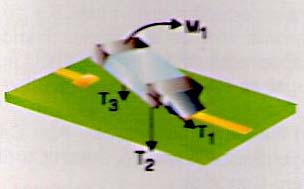 Figura 2 Figura 2