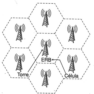 Figura 1
Figura 1